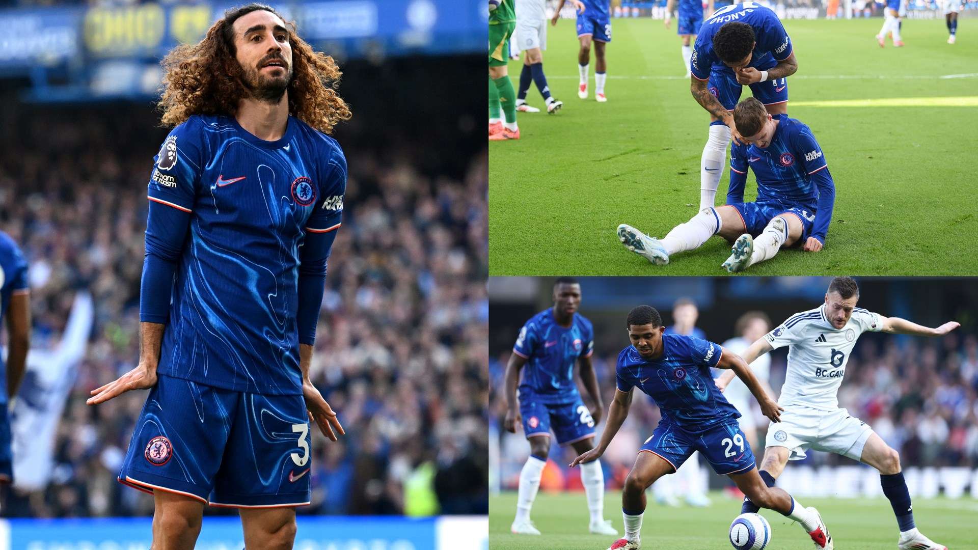 球迷的重视 球迷的重视